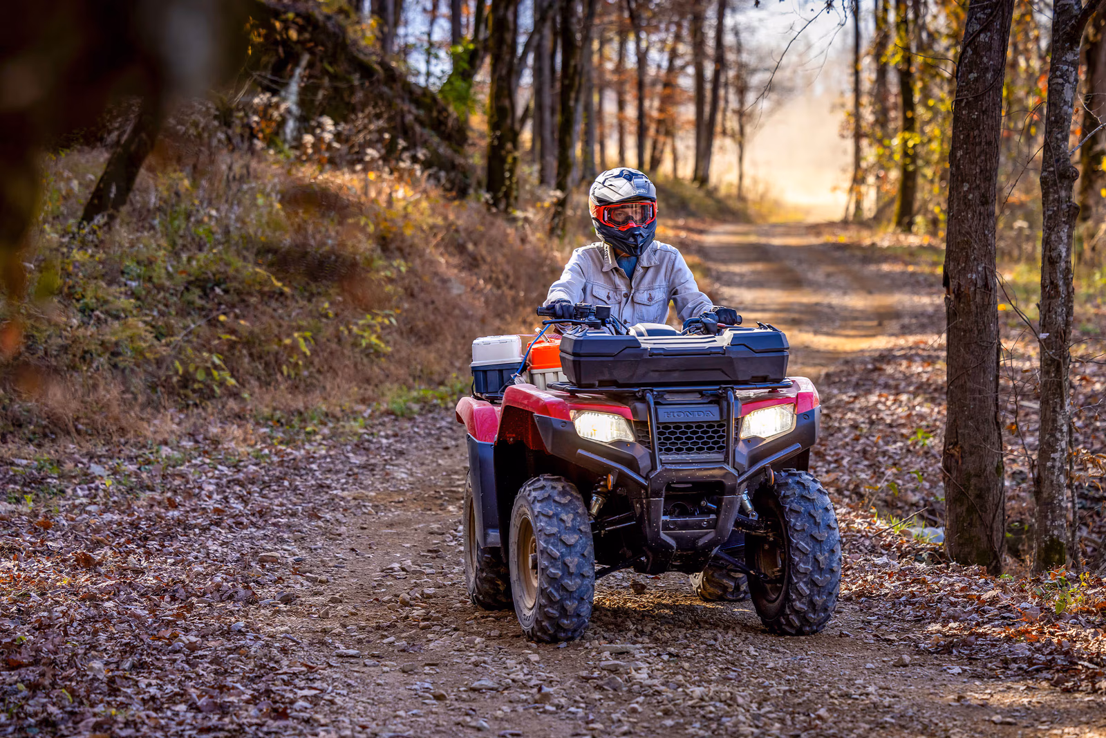 TRX 420 FourTrax em destaque, visão frontal - 4 de 10