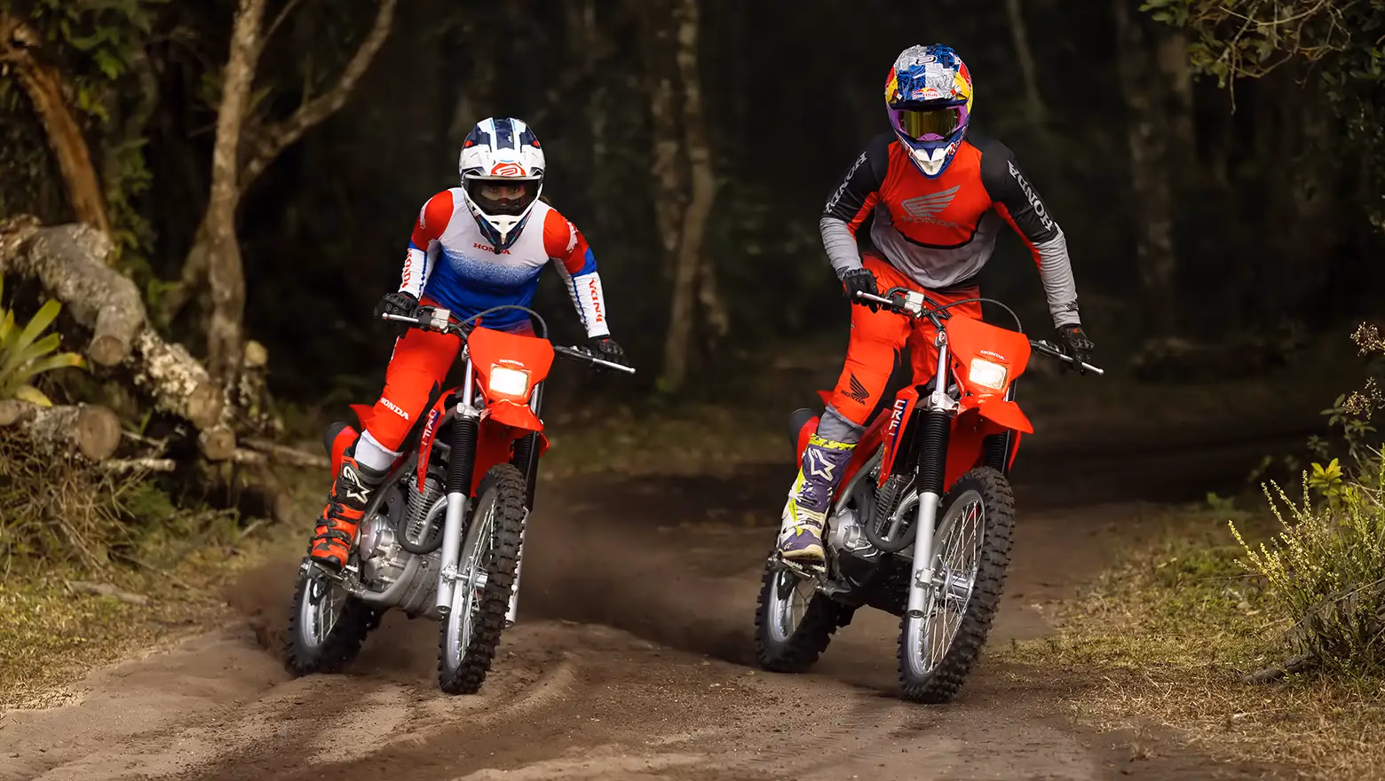 CRF 300F em ação em trilha off-road - 4 de 7