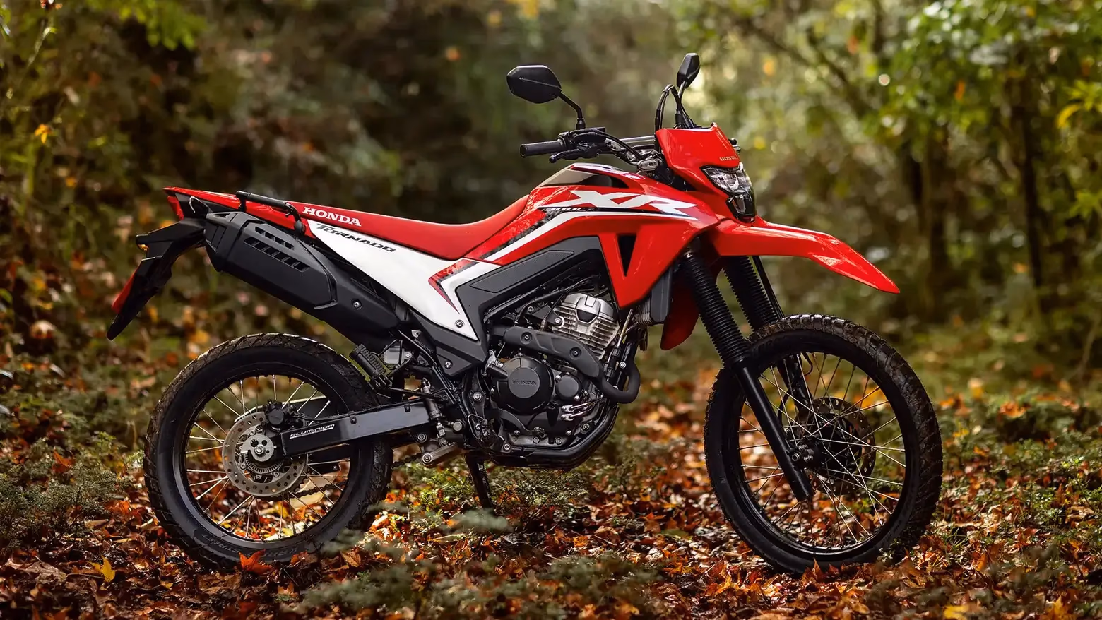 XR 300L Tornado detalhe traseira - 7 de 22