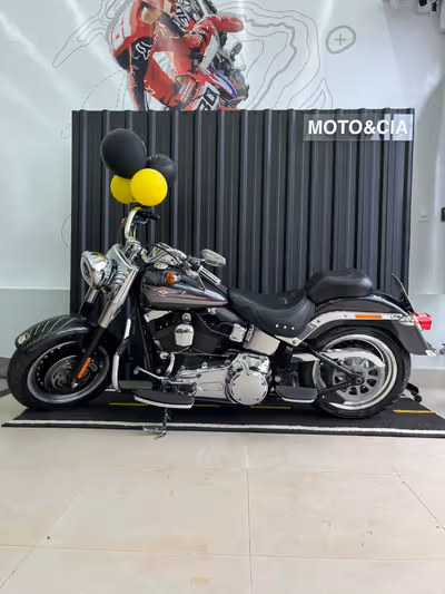 Harley-Davidson FLSTF