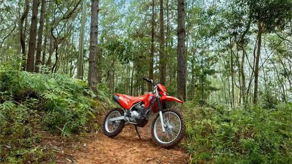CRF 300F em ação em trilha off-road
